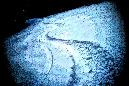NWH.ART.PHOTO_portfolio_Page_02